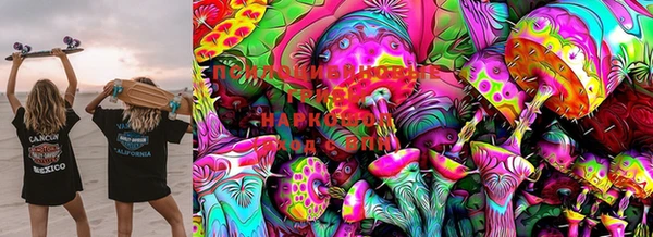 PSILOCYBIN Балахна